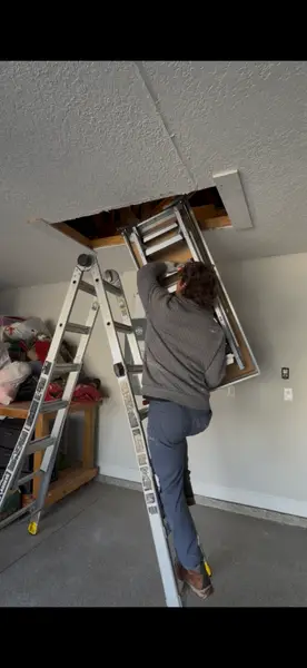 Attic Ladder Installation in Jacksonville Beach — ceiling ladder installation