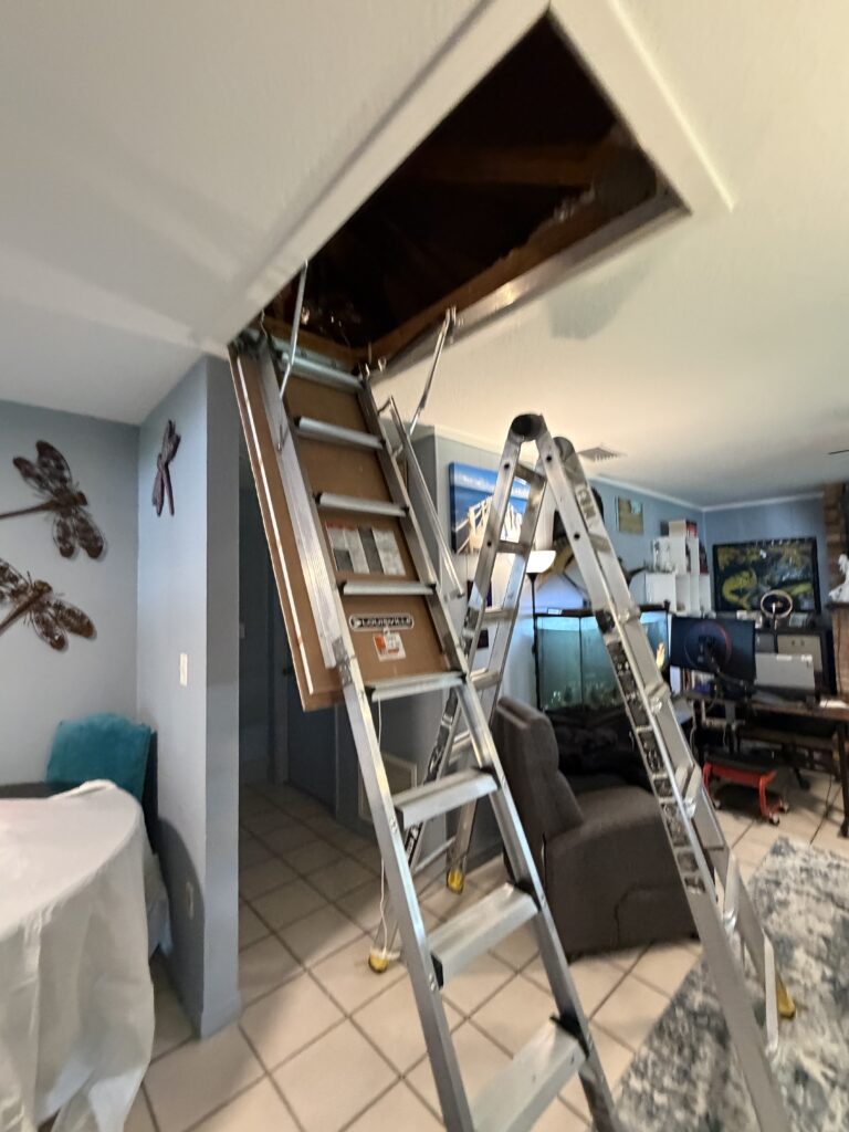 Attic Ladder Installation in St Johns — Attic Ladder Installation